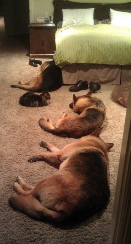 Traffic jam on the way to bed. Traffic jam on the way to bed.