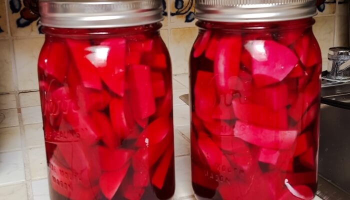 Pickled Turnips