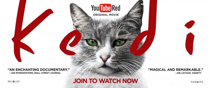 Kedi -- YouTube Red